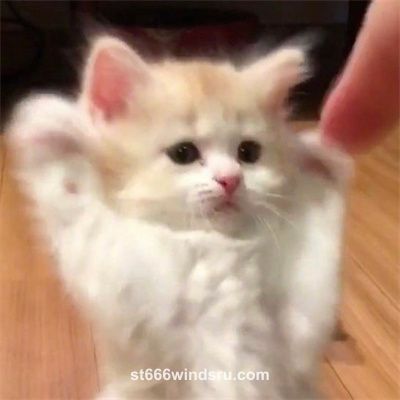 Ảnh đại diện images (2)